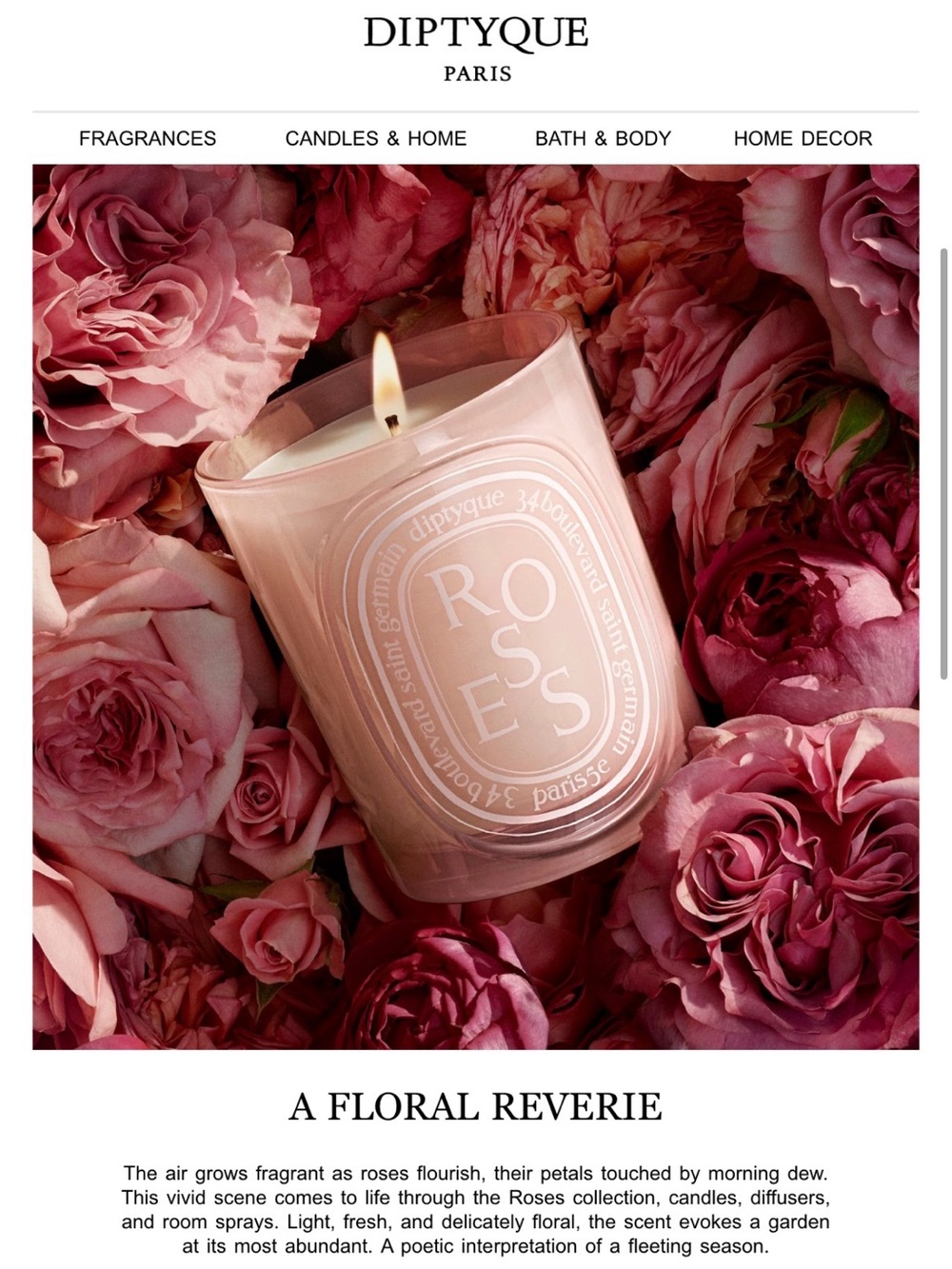 Diptyque Roses Candle MEDIUM DIPTYQUE Rose Candle 300g
